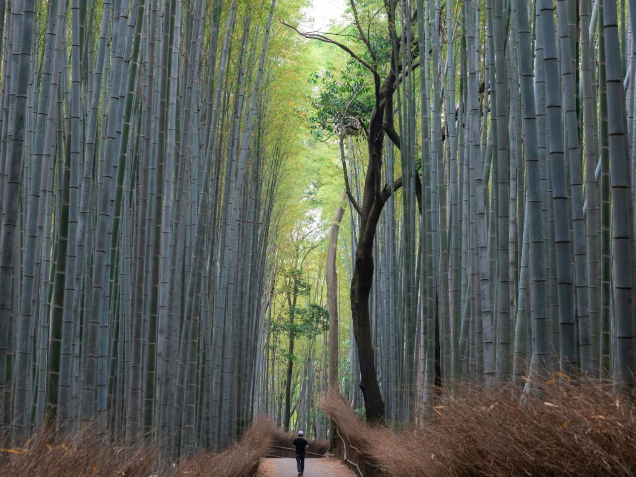 Sumitei Kiyomizu Gojo Hotel Kyoto Buitenkant foto